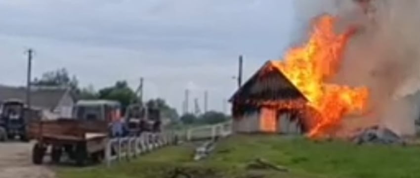 В Толочинском районе на пожаре погибли почти 30 телят