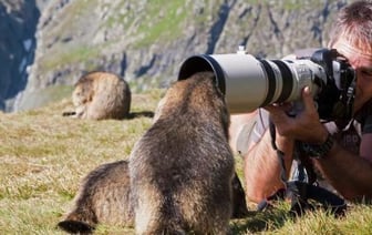 Финалисты Международного фотоконкурса самых смешных животных