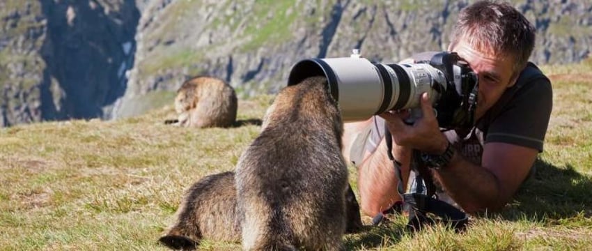 Финалисты Международного фотоконкурса самых смешных животных