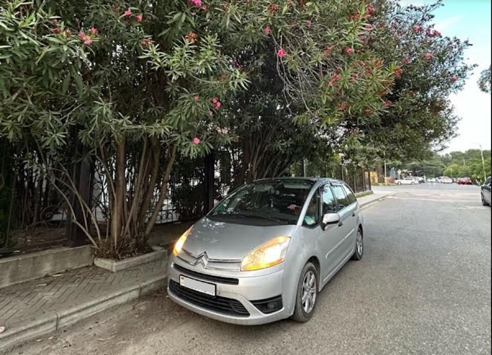 250 долларов на человека: блогер из Берёзы о поездке в Абхазию