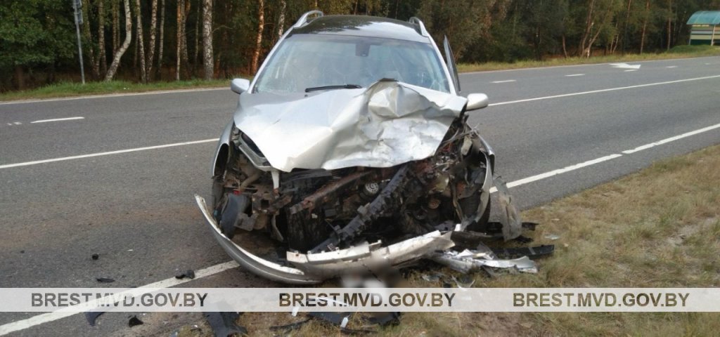 Два автомобиля  столкнулись лоб в лоб в Каменецком районе