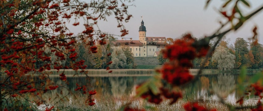 Водительские права будут выдавать на 20 лет. В Беларуси корректируются более 200 админпроцедур