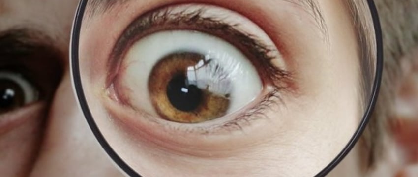 Время не ждет. Чисто народные детективы из Брестской области