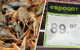 В магазине заметили белорусских раков почти за 90 рублей. Почему дороже креветок? — Фото