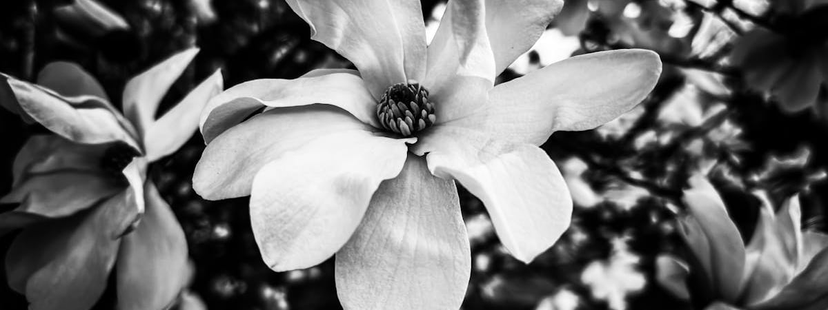 Экс-министра финансов Австрии приговорили к четырем годам заключения за коррупцию