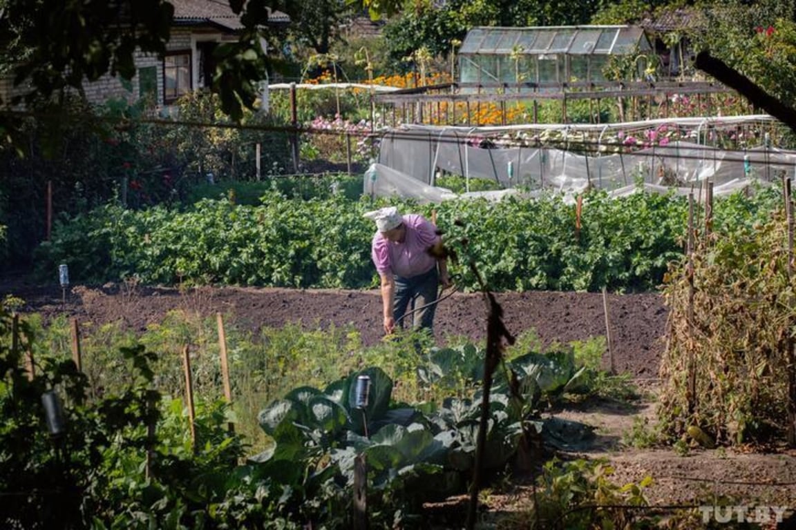 Изображение носит иллюстративный характер. Фото: TUT.BY