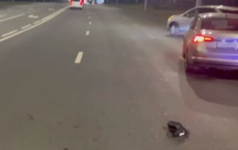 Таксист сбил двух пешеходов с признаками опьянения