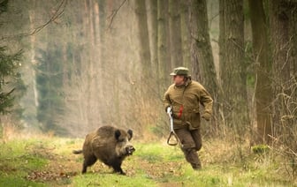 Природоохрана объявила двухмесячную «Охоту» на белорусских охотников. Кого пообещали «освободить от ответственности»?