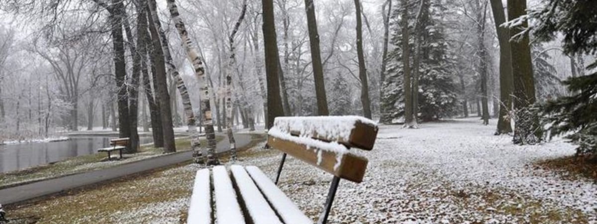 В Беларусь идет предзимье. Прогноз погоды на неделю с 11 по 17 ноября