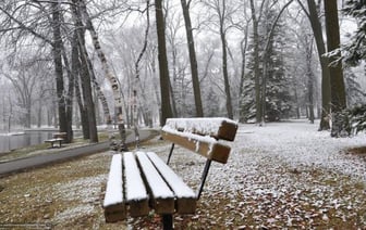 В Беларусь идет предзимье. Прогноз погоды на неделю с 11 по 17 ноября