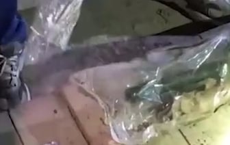 Россияне по заданию СБУ собирались взорвать главу Крыма