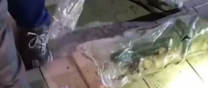 Россияне по заданию СБУ собирались взорвать главу Крыма