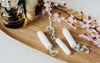 Новые чистки, политизация, бегство студентов в Россию – iSANS об изменениях в высшем образовании