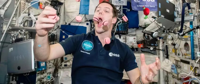 Почему еда в космосе падает ровно: удивительная связь с гравитацией