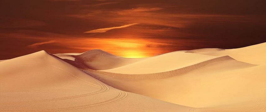 Самые ранние свидетельства библейского алого красителя, найденные в израильской пустыне