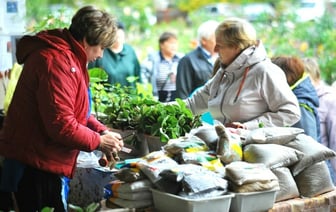 Штраф от 400 рублей. Налоговики рассказали, как белорусам торговать рассадой по закону