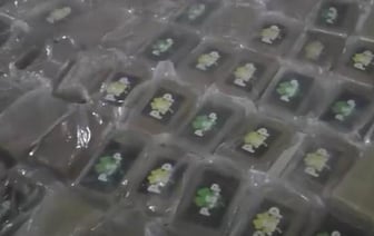 Тонну кокаина везли через Россию в ЕС