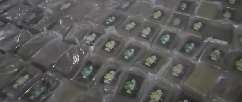 Тонну кокаина везли через Россию в ЕС