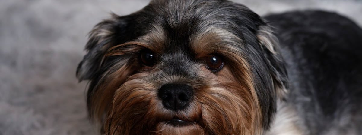 Правительство Германии не видит оснований для отмены антироссийских санкций