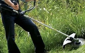 Триммер поразил не только траву: как случай с камнем привел к судебному разбирательству