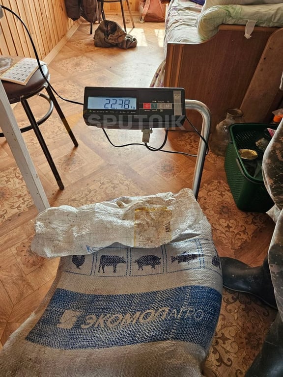 В Беларуси рыбаки словили сома-гиганта