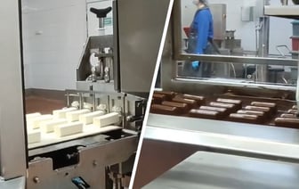 «Меня б туда» — Полоцкий молокозавод показал производство «тех самых» глазированных сырков — Видео