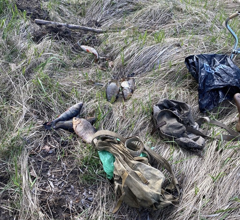 В Пинском районе два браконьера наловили в Припяти крупный штраф