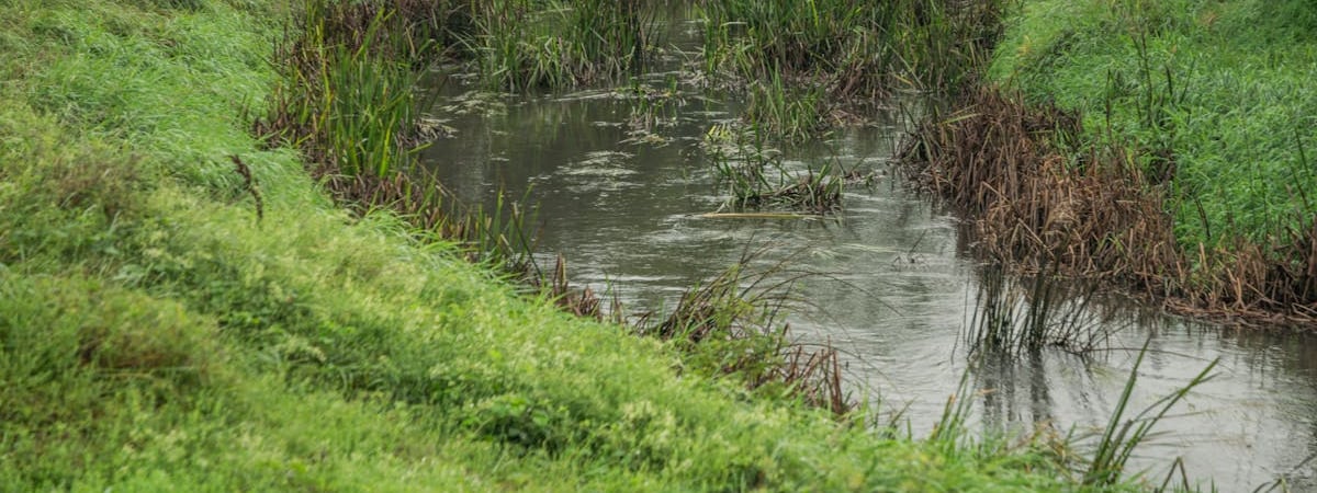 На границе с Польшей скопилось 300 легковушек и 39 автобусов – ГПК Беларуси