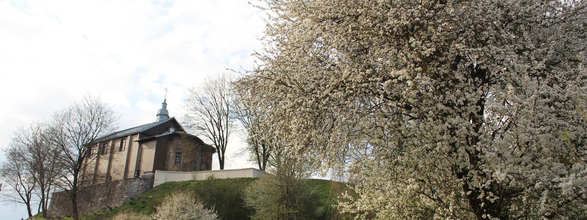 После холодов вернется тепло — погода в Гродно на выходные