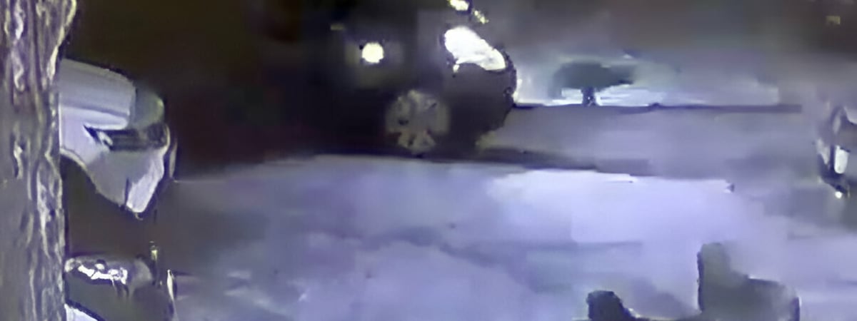 В Борисове собаки завели машину и устроили ДТП. Как такое возможно? — Видео