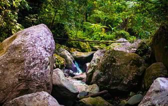 Франция призывает усилить мониторинг экспорта российского газа в ЕС