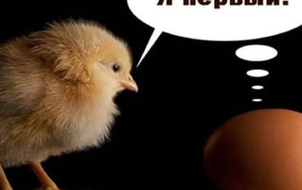 Что было первым: курица или яйцо? Ответ ученых