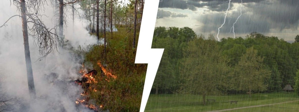 Белгидромет продлил красный уровень опасности для 2 областей Беларуси. Когда и где ждать сильные грозовые дожди? — Фото