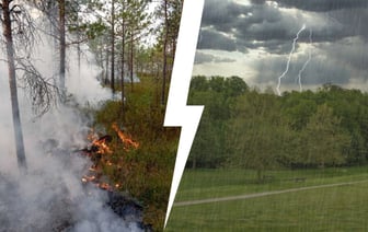 Белгидромет продлил красный уровень опасности для 2 областей Беларуси. Когда и где ждать сильные грозовые дожди? — Фото