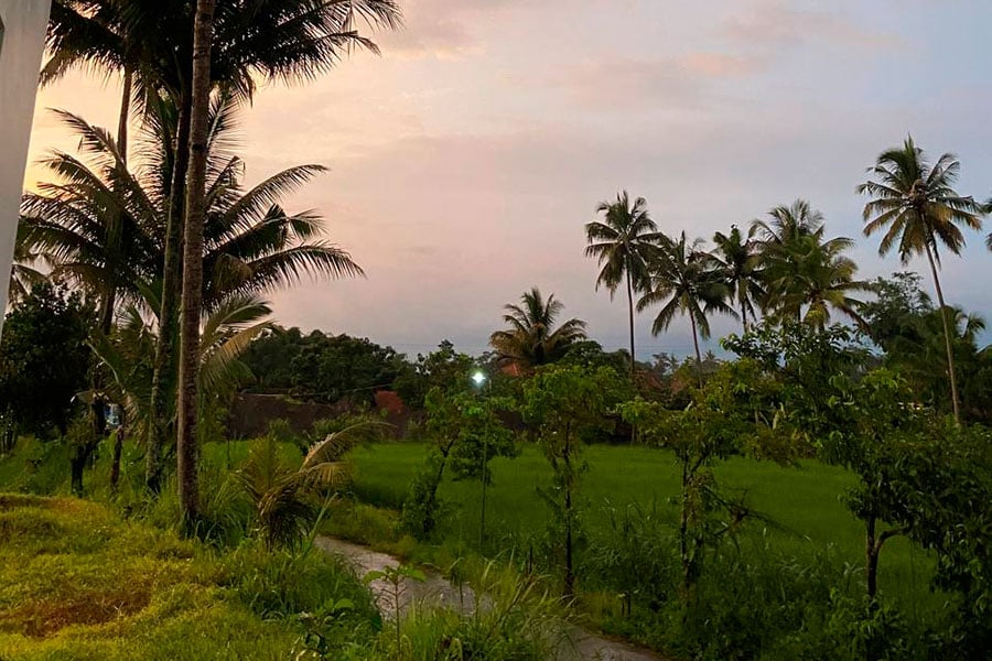 Белоруска уехала в Индонезию и решила не возвращаться