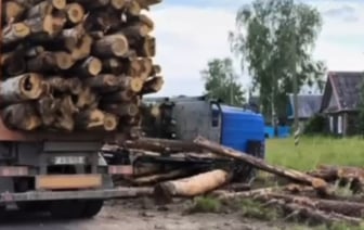 В Беларуси лесовоз сбил насмерть девочку-подростка