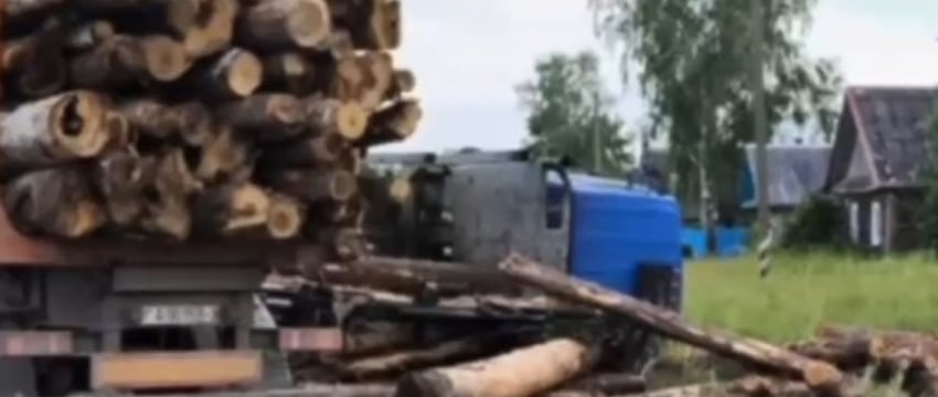 В Беларуси лесовоз сбил насмерть девочку-подростка