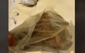 Белорус отнес «на помойку» целую ногу хамона. Видео об этом собрало 500 тысяч просмотров