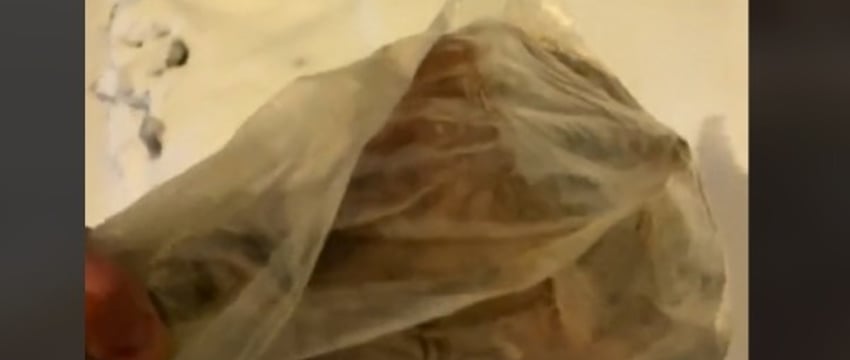 Белорус отнес «на помойку» целую ногу хамона. Видео об этом собрало 500 тысяч просмотров