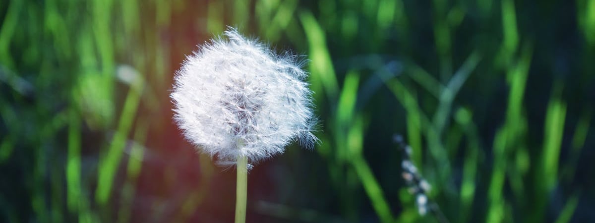 В Польше самая высокая доля в ЕС сельхозугодий принадлежит фермерам