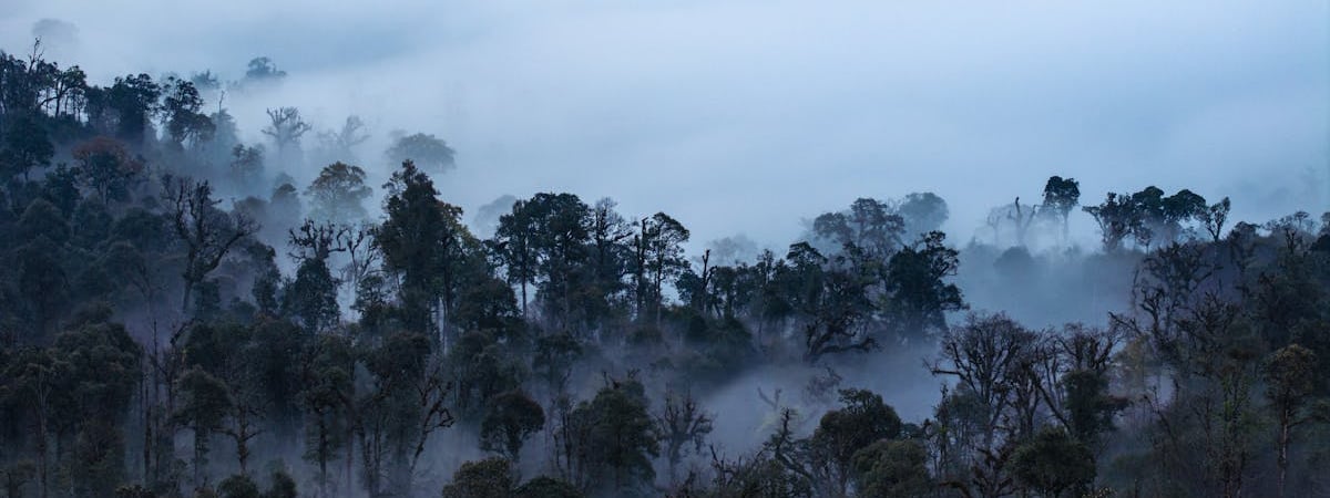 Затопило машину? Адвокат рассказала, в каком случае ЖКХ может возместить ущерб