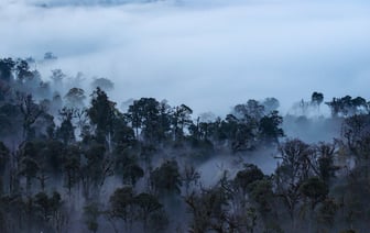 Затопило машину? Адвокат рассказала, в каком случае ЖКХ может возместить ущерб