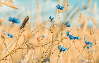 На границе Беларуси с Евросоюзом скопилось 580 грузовых и 145 легковых машин