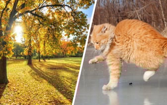 Синоптики предупредили белорусов о первом гололёде. Когда температура качнётся от -5° до +14°C? — Фото