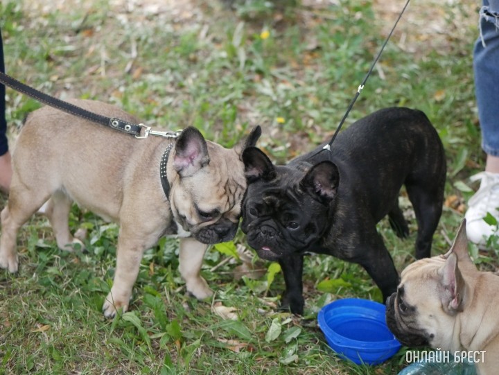 Фото носит иллюстративный характер