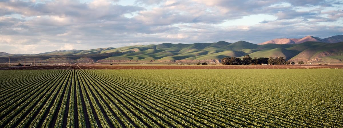 США запретили импорт продукции еще 37 китайских компаний