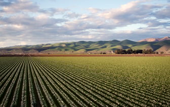 США запретили импорт продукции еще 37 китайских компаний