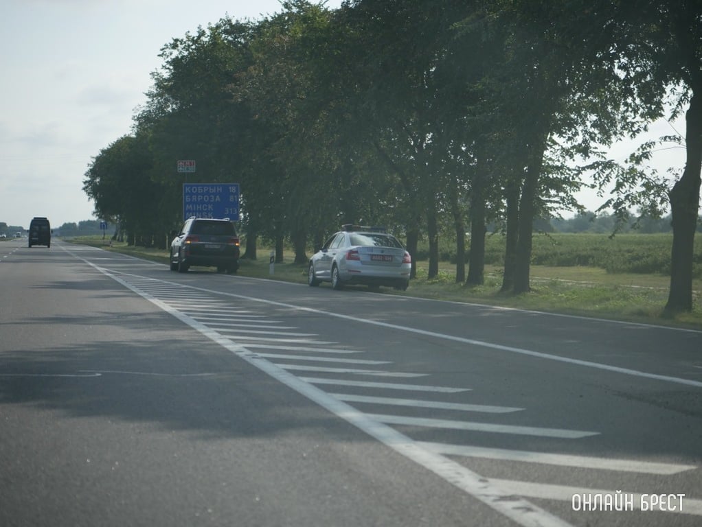 Фото носит иллюстративный характер