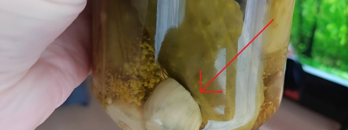 Что делать, если в банке с маринованными огурцами посинел чеснок? Узнали, стоит ли выбросить закатки — Полезно