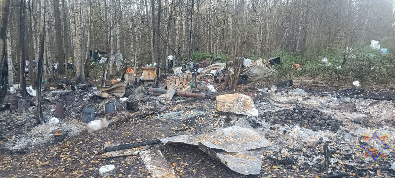 В Браславском районе на пожаре погибла 56-летняя женщина, которая жила в самодельной хижине в лесу. Фото МЧС